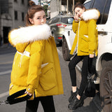 Down padded jacket women short new cotton jacket