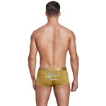 Spring New Men's Boxers Fashion Trendy Sexy Men Low Waist Panties