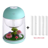 Mini Portable Mist Humidifier Transparent Micro-landscape Air Humidifier Spray Air Purifier Diffuser with LED Lights for Home
