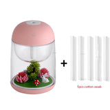 Mini Portable Mist Humidifier Transparent Micro-landscape Air Humidifier Spray Air Purifier Diffuser with LED Lights for Home