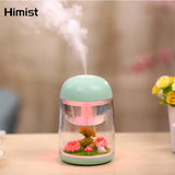 Mini Portable Mist Humidifier Transparent Micro-landscape Air Humidifier Spray Air Purifier Diffuser with LED Lights for Home